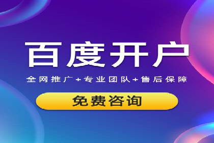 如何在有限预算下最大化百度推广费用的效果——案例解读