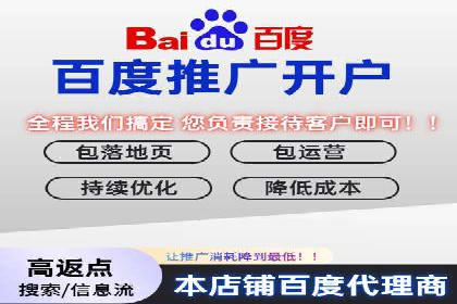 百度竞价运营的挑战与机遇：成功案例探讨
